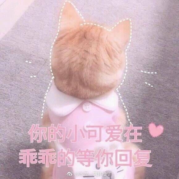 ,ætxt