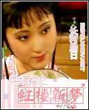续红楼之红楼新梦