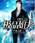重生之极品姐夫