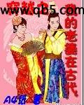 穿越之我的老婆在古代