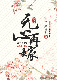 无心再嫁