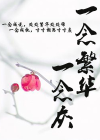 一念繁华一念灰