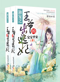 独宠之王爷的出逃妃