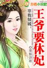 非我倾城:王爷要休妃(大结局) 番外