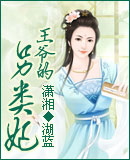 王爷的另类妃