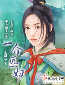 一介匹妇