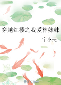 (红楼同人)穿越红楼之我爱林妹妹