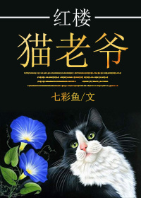 (红楼同人)红楼猫老爷