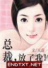 总裁,放了我(全文&番外)