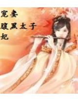 宠妻:腹黑太子妃