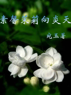 素馨茉莉向炎天