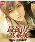 最强山寨系统