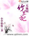 天地间竹兰记