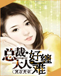 总裁大人好难缠