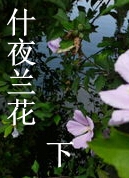 什夜兰花(下)txt下载