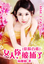 危险首席:女人,你被捕了