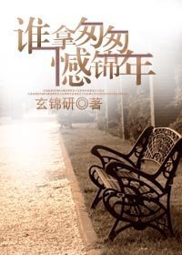 谁拿匆匆憾锦年