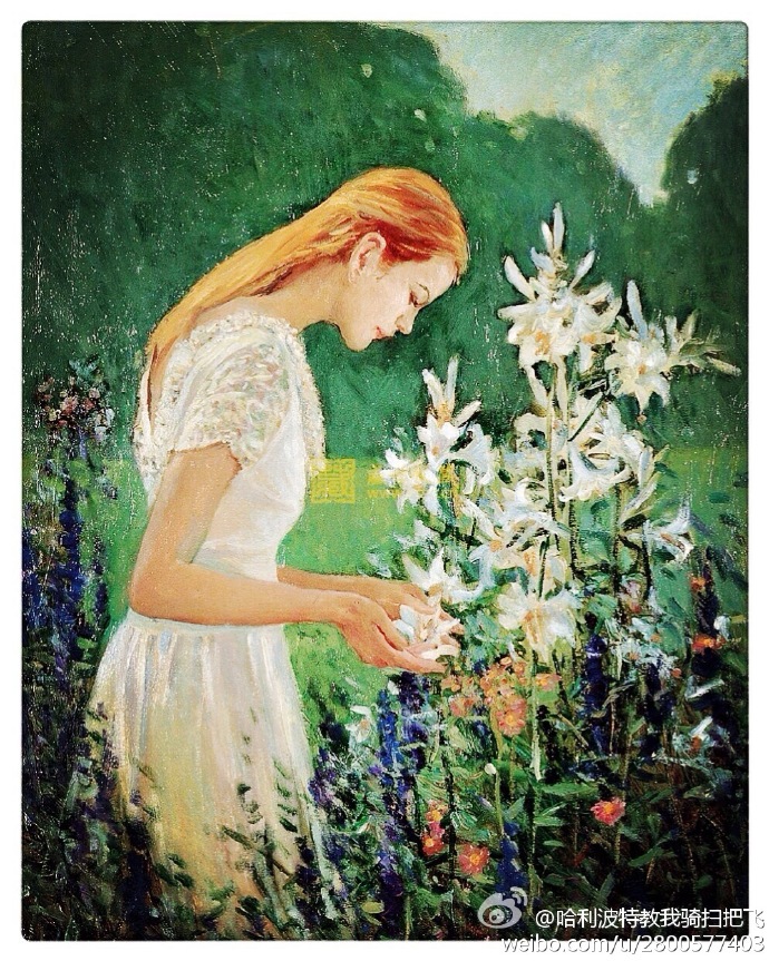 花未盛开
