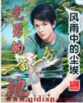 宅男的一亩二分地