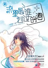 流星是谁划过的泪