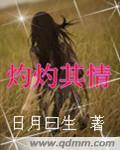 灼灼其情