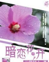 暗恋花开