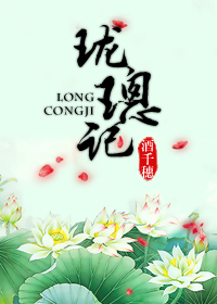 珑璁记