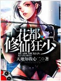 空姐的贴身高手