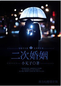 二次婚姻