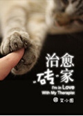 治愈砖家