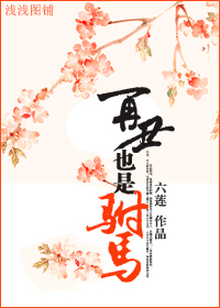 再丑也是驸马