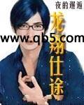 龙翔仕途