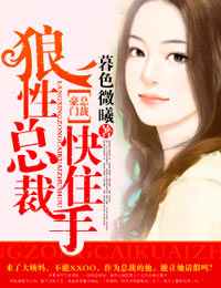 狼性总裁快住手