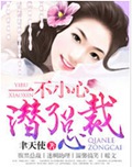 一不小心潜了总裁