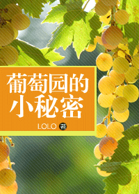 葡萄园的小秘密