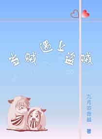 当贼遇上盗贼