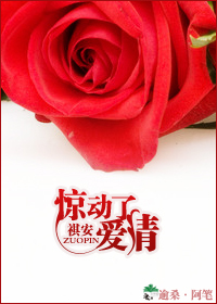 惊动了爱情