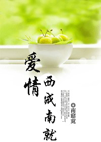 爱情西成南就
