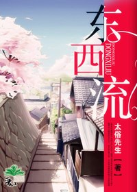 东西流