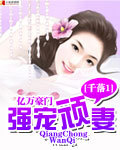 强宠顽妻